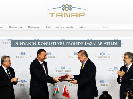 tanap1